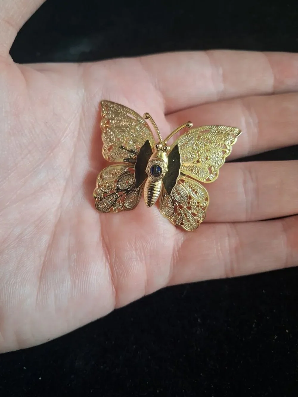 Lions Club Butterfly brooch